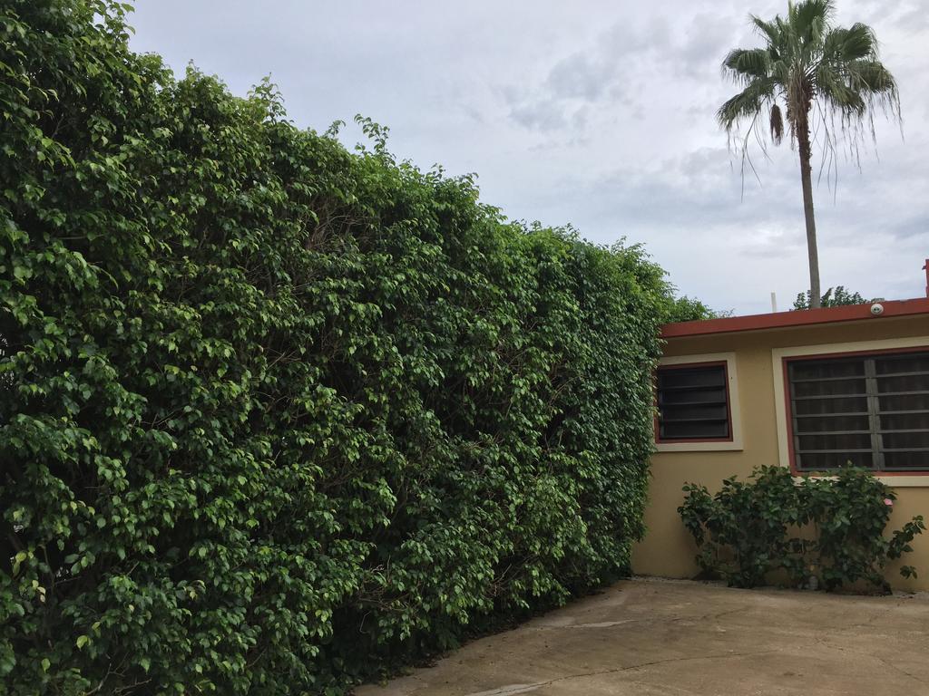 Tres Palmas Inn And Villas Rincon Exterior foto